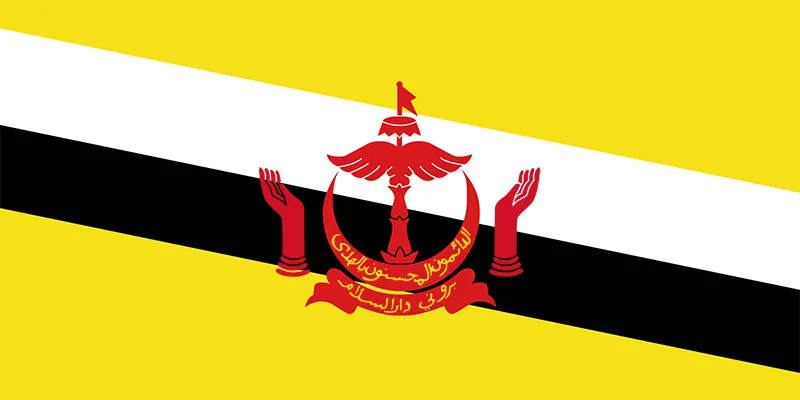 send money to Brunei from uk