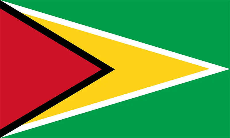 send money to Guyana from UK